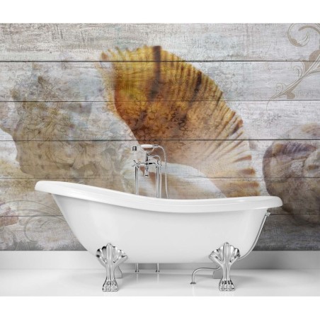 Fototapete - Muscheln Holz Meer Vintage | Feeby