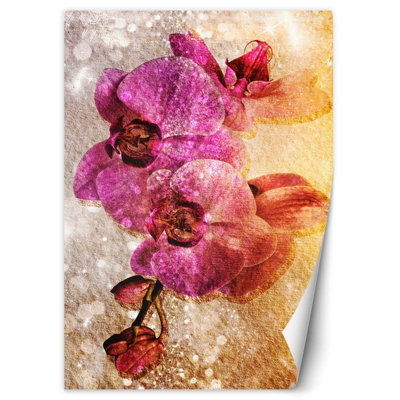 Modische Fototapete - Lila Orchideen | Feeby