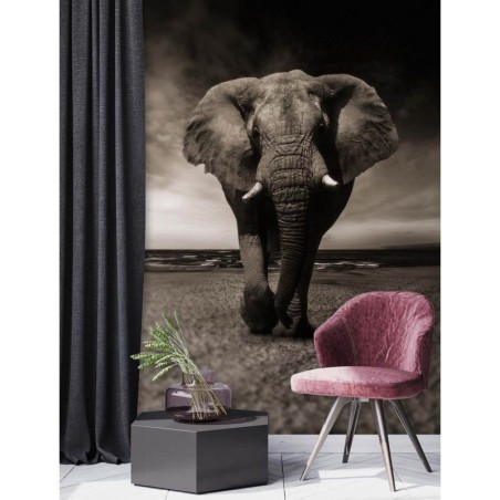 Fototapete - Elefant Tier Afrika | Feeby