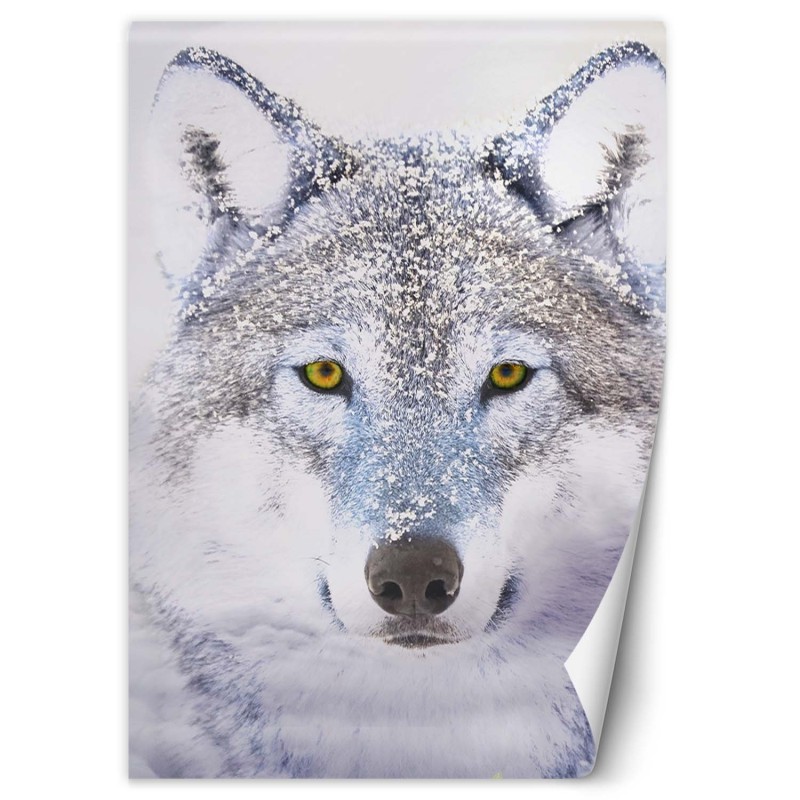 Stilvolle Fototapete - Porträt Wolfes im Winter | Feeby