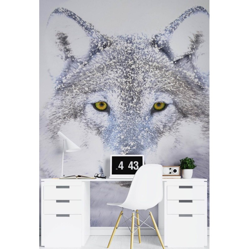 Stilvolle Fototapete - Porträt Wolfes im Winter | Feeby