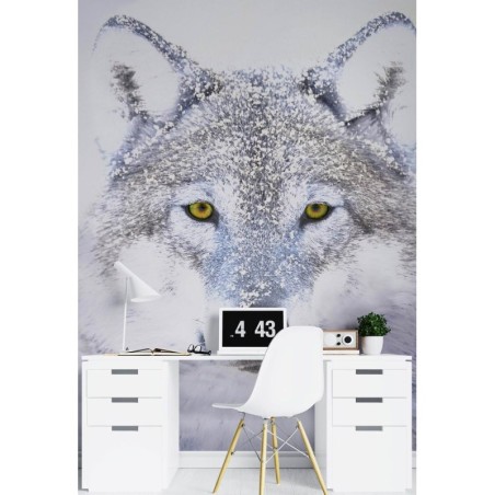 Stilvolle Fototapete - Porträt Wolfes im Winter | Feeby