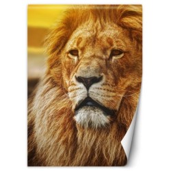 Fototapete - König der Löwen | Feeby