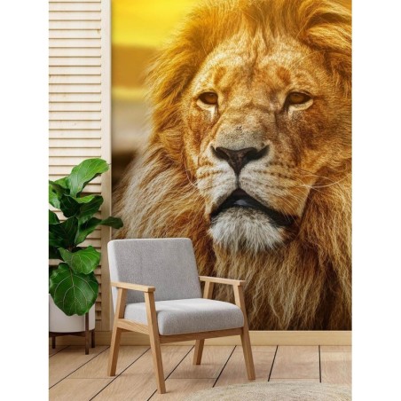 Fototapete - König der Löwen | Feeby