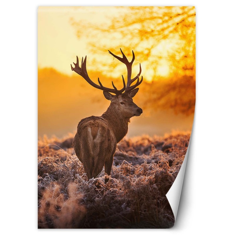 Moderne Fototapete - Hirsch bei Sonnenuntergang | Feeby