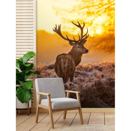 Moderne Fototapete - Hirsch bei Sonnenuntergang | Feeby