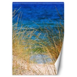 Stilvolle Fototapete - Hohe Gräser am Meer | Feeby