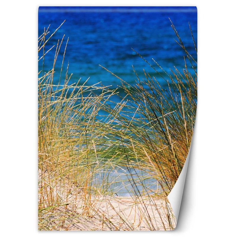 Stilvolle Fototapete - Hohe Gräser am Meer | Feeby