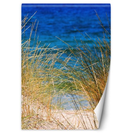 Stilvolle Fototapete - Hohe Gräser am Meer | Feeby