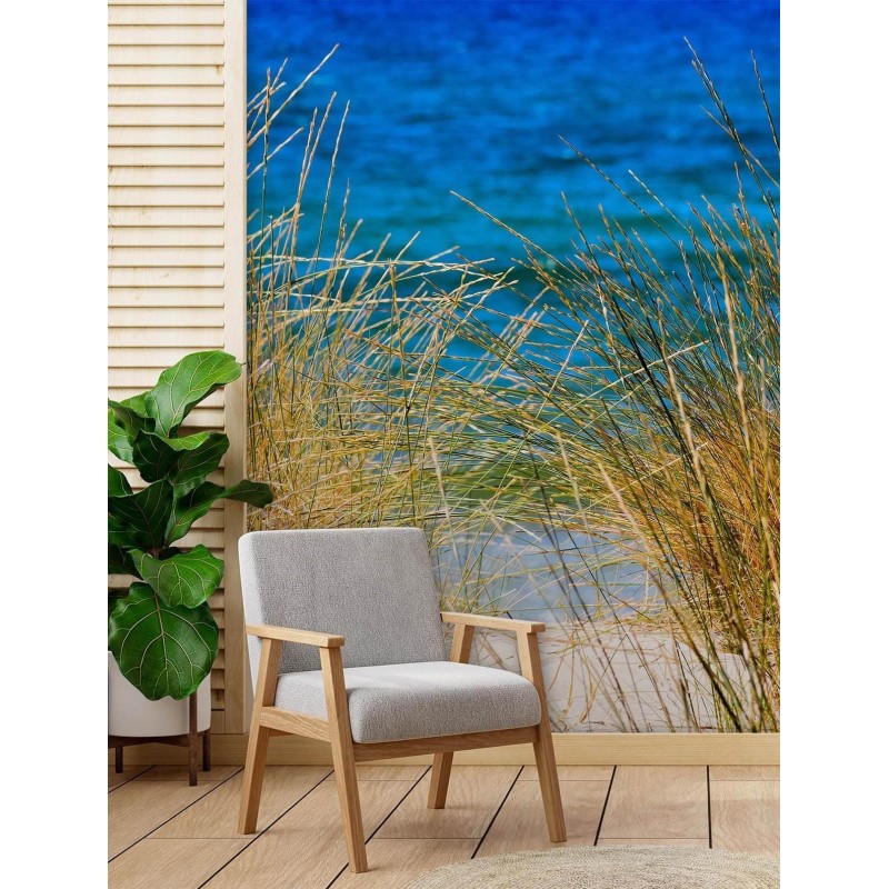 Stilvolle Fototapete - Hohe Gräser am Meer | Feeby