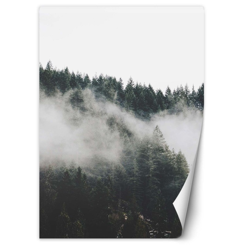 Fototapete - Wald im Nebel Bergen | Feeby