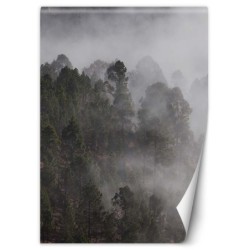 Moderne Fototapete - Grüner Wald im Nebel | Feeby