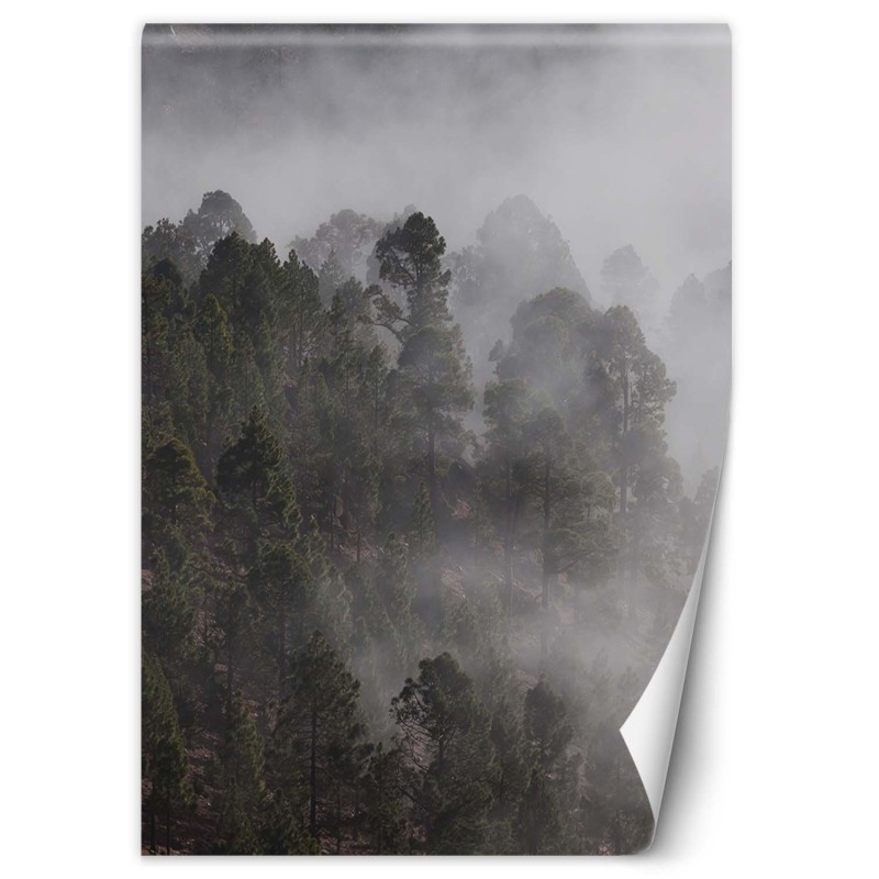 Moderne Fototapete - Grüner Wald im Nebel | Feeby