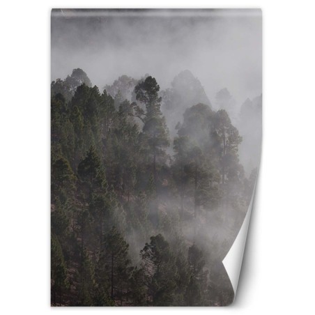 Moderne Fototapete - Grüner Wald im Nebel | Feeby