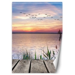 Stilvolle Fototapete - Vögel am Meer | Feeby