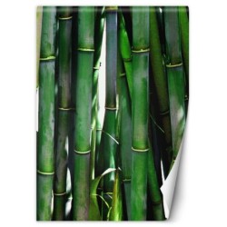 Modische Fototapete - Grüner Bambus Textur | Feeby