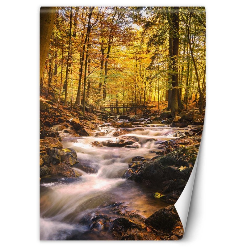 Fototapete - Wasserfall im Wald | Feeby