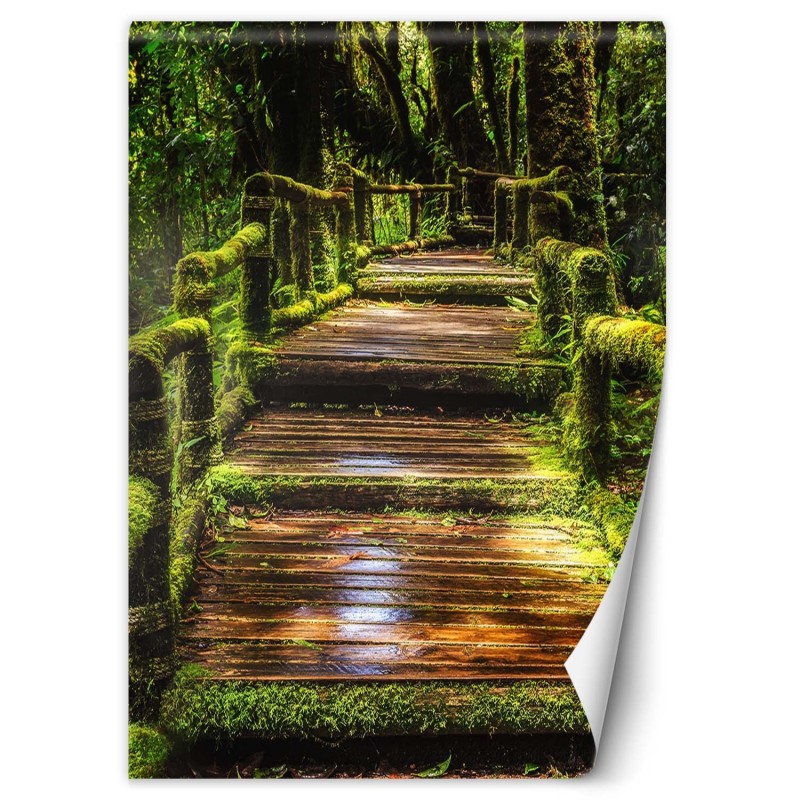 Fototapete - Brücke in einem grünen Wald | Feeby