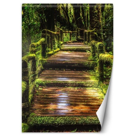 Fototapete - Brücke in einem grünen Wald | Feeby