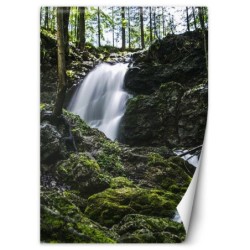 Moderne Fototapete - Wasserfall im Wald | Feeby