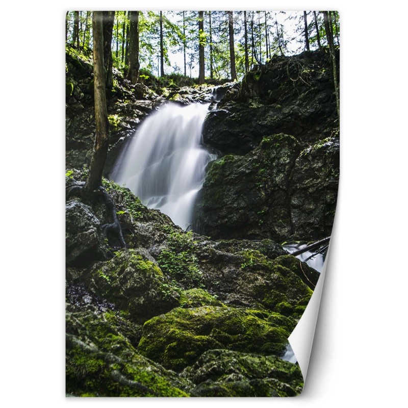 Moderne Fototapete - Wasserfall im Wald | Feeby
