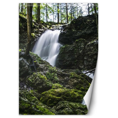 Moderne Fototapete - Wasserfall im Wald | Feeby