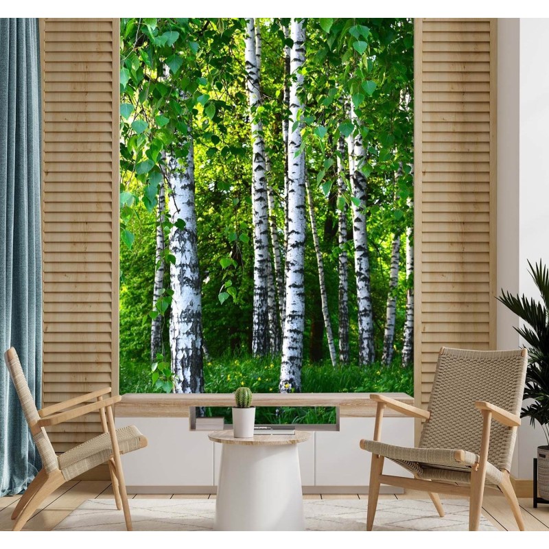 Fototapete - Birken Wald Natur | Feeby