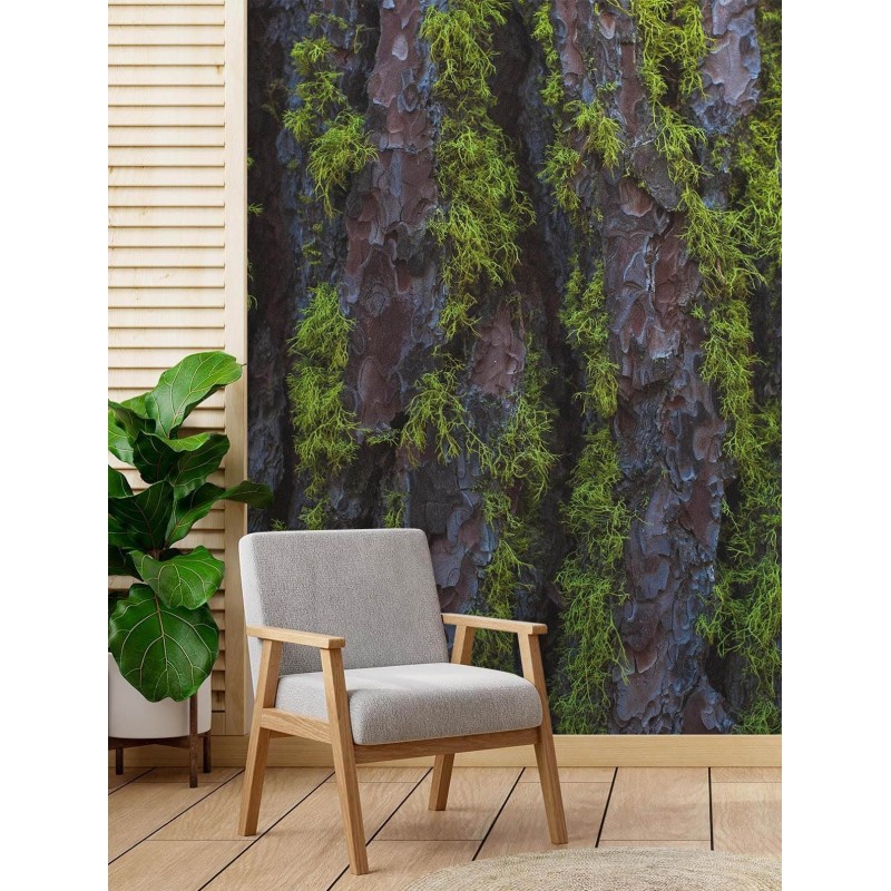 Fototapete - Holz Rinde Textur | Feeby