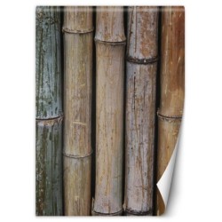 Stilvolle Fototapete - Bambuswand Textur Hintergrund | Feeby