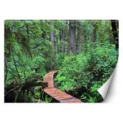 Modische Fototapete - Tropischer Pfad im Wald | Feeby