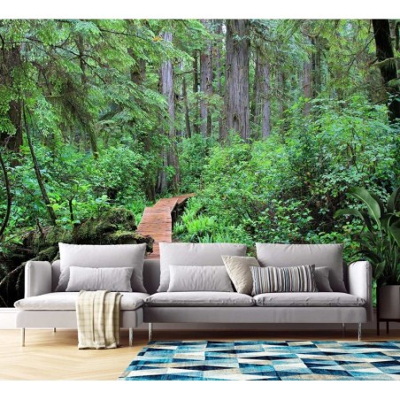 Modische Fototapete - Tropischer Pfad im Wald | Feeby