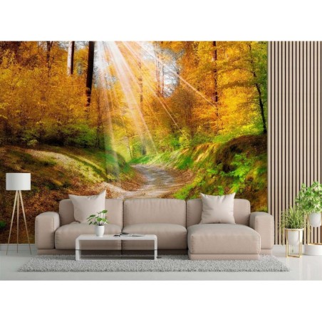 Stilvolle Fototapete - Herbst Wald Natur Landschaft | Feeby