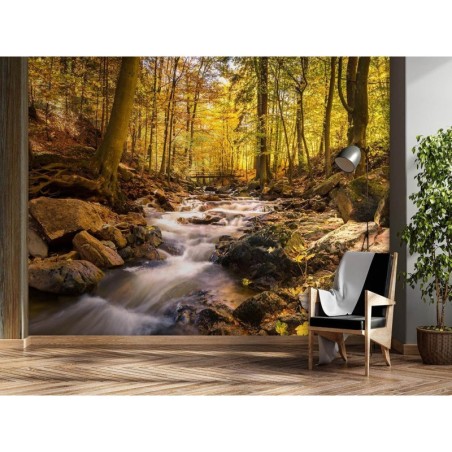 Fototapete - Waldbach im Herbst | Feeby