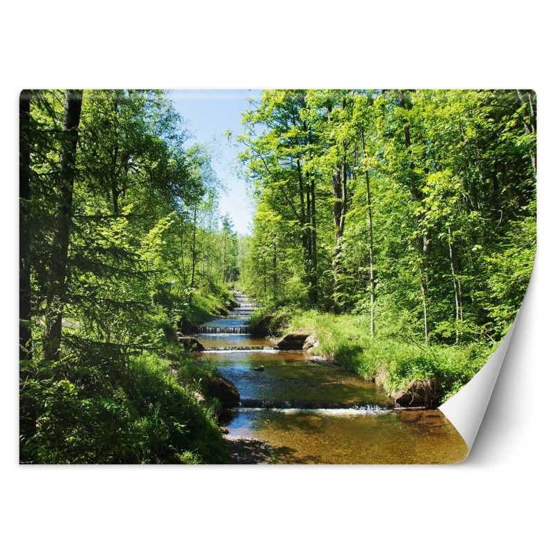 Moderne Fototapete - Fluss Wald Natur Baume | Feeby