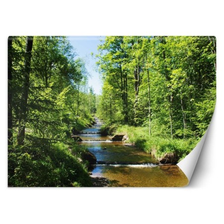 Moderne Fototapete - Fluss Wald Natur Baume | Feeby