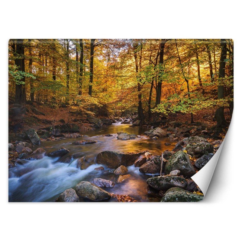 Fototapete - Waldfluss Landschaft | Feeby