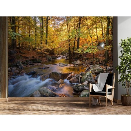 Fototapete - Waldfluss Landschaft | Feeby