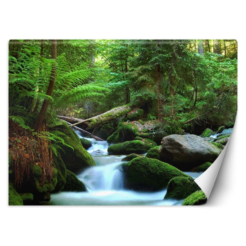 Fototapete - Grüner Wald Landschaft | Feeby