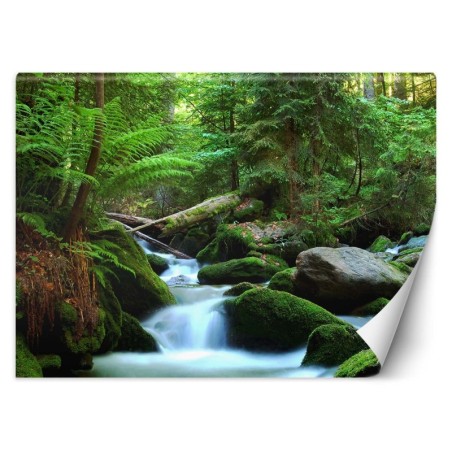 Fototapete - Grüner Wald Landschaft | Feeby