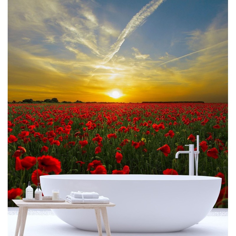 Stilvolle Fototapete - Mohnblumen Wiese Natur | Feeby