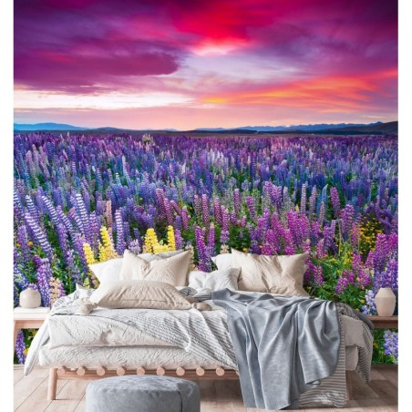 Fototapete - Lavendel Blumen auf einer Wiese | Feeby