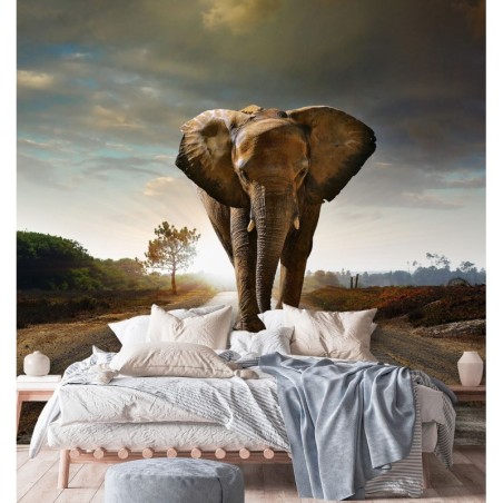 Modische Fototapete - Elefant Tier Weg | Feeby