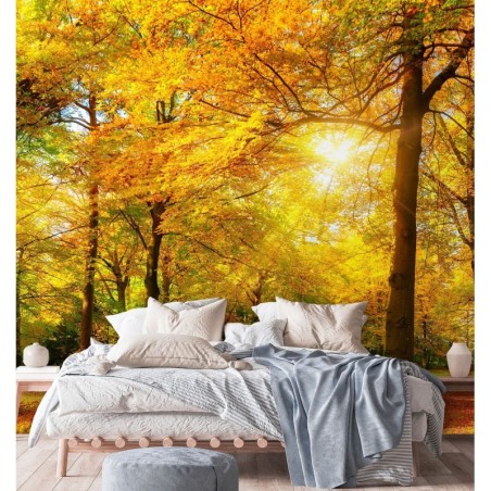 Stilvolle Fototapete - Herbstwald im Sonnenschein | Feeby
