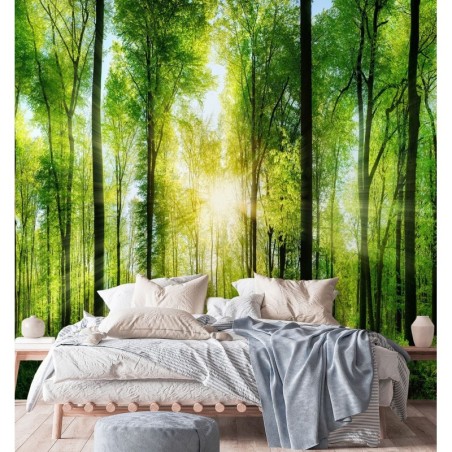 Fototapete - Wald Landschaft Natur Baume | Feeby