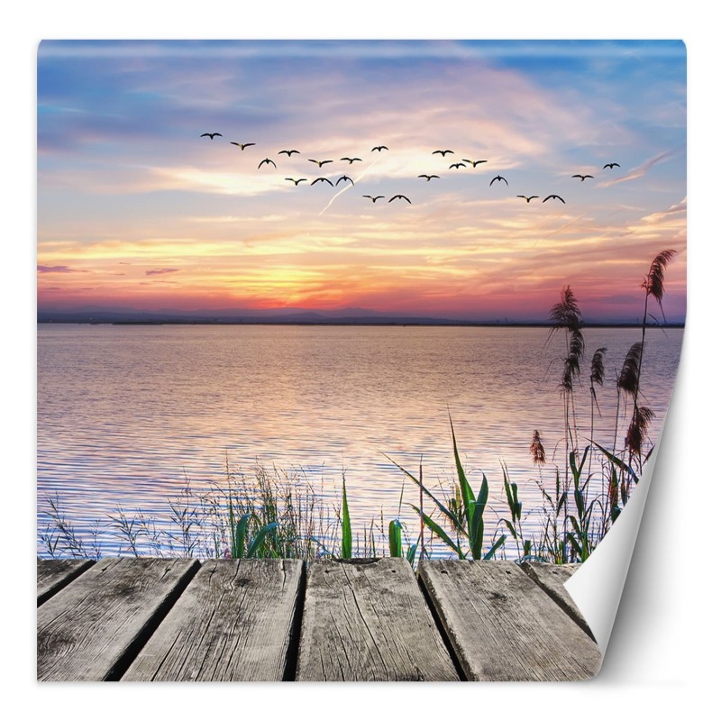 Moderne Fototapete - Rosa Himmel Steg Wasser | Feeby