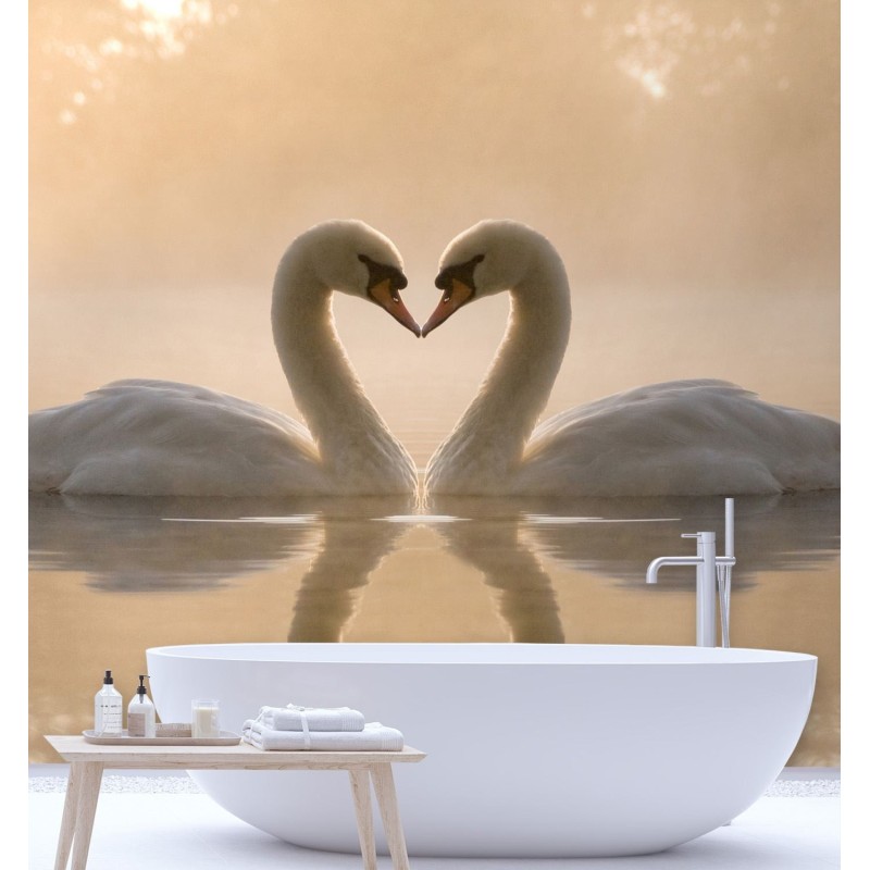 Stilvolle Fototapete - Schwäne schwimmen im See | Feeby