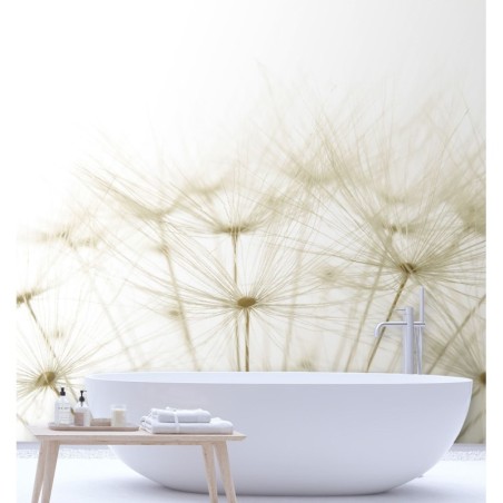 Stilvolle Fototapete - Pusteblume in Weiß | Feeby
