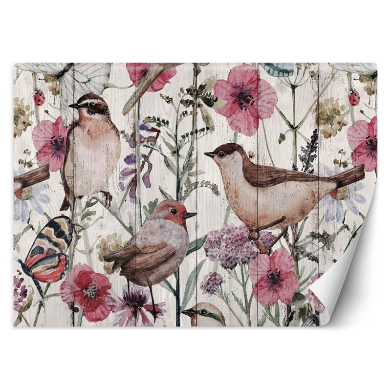 Fototapete - Vögel und Schmetterlinge auf einer Wiese mit Feldblumen | Feeby