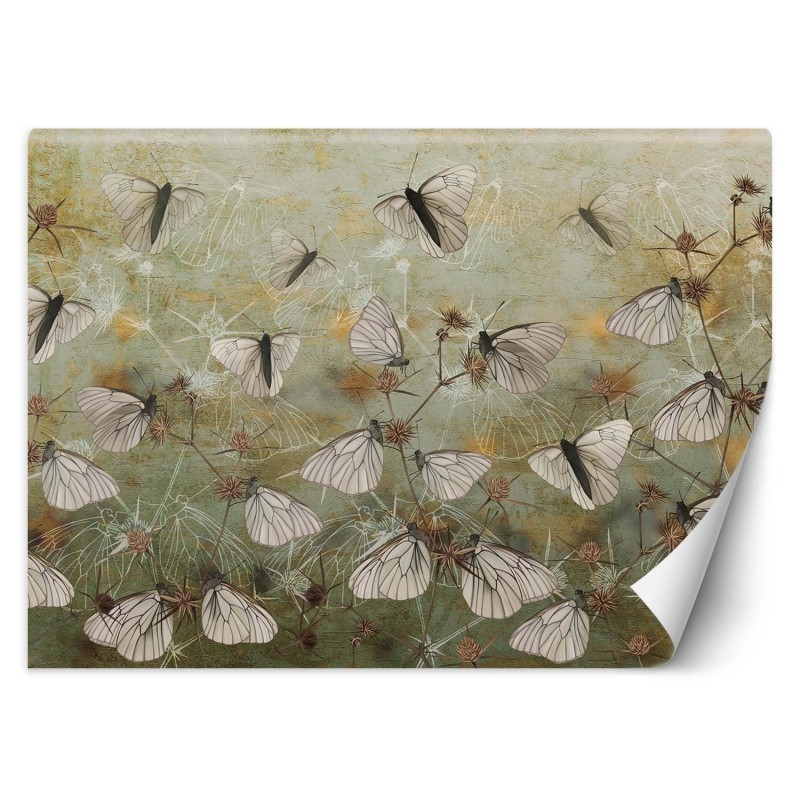 Modische Fototapete - Boho Schmetterlinge Mauer | Feeby