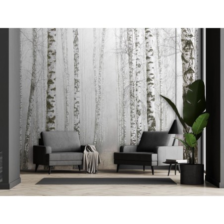 Modische Fototapete - Birkenwald im Nebel | Feeby